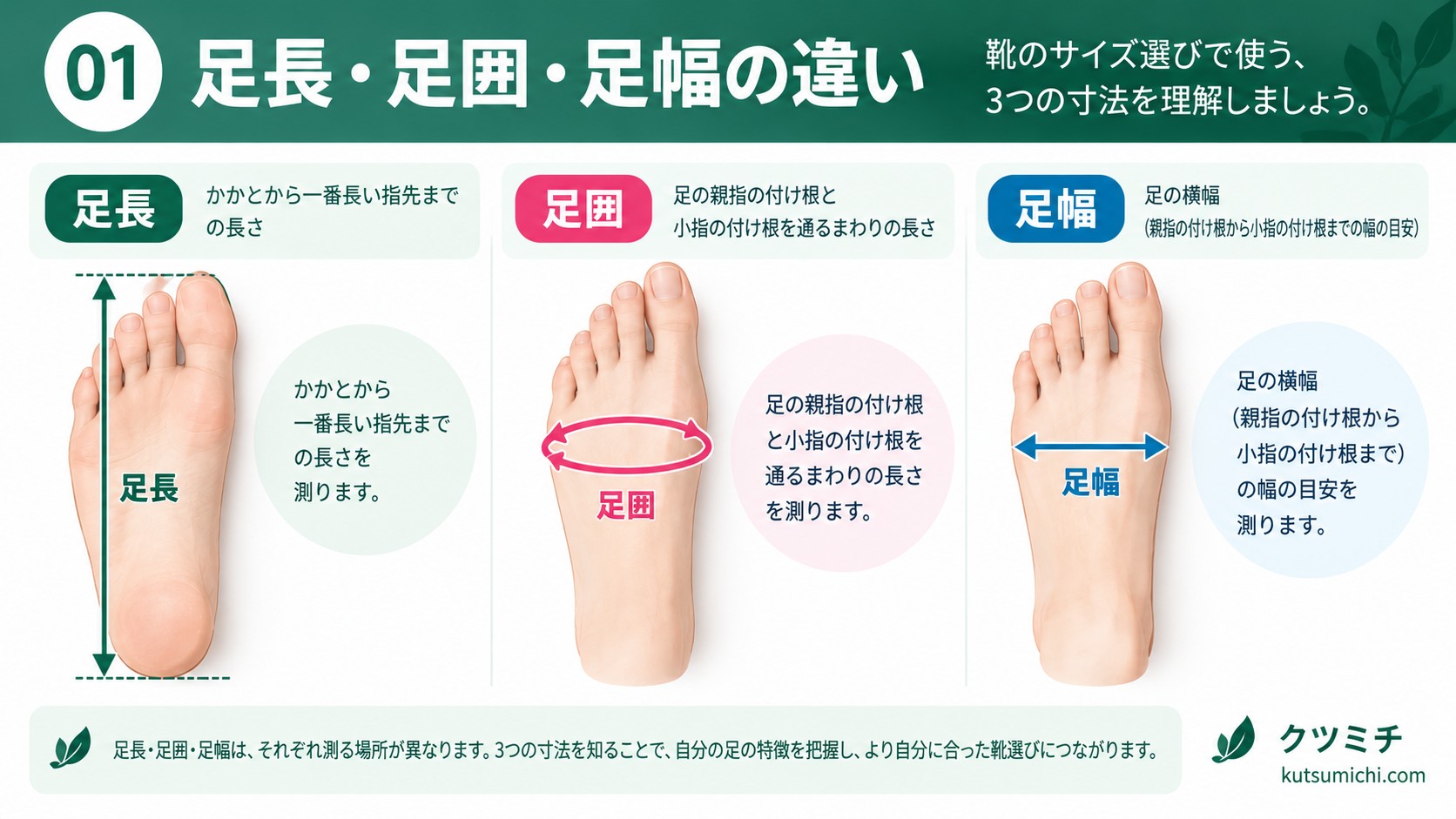 足長・足囲・足幅の違い