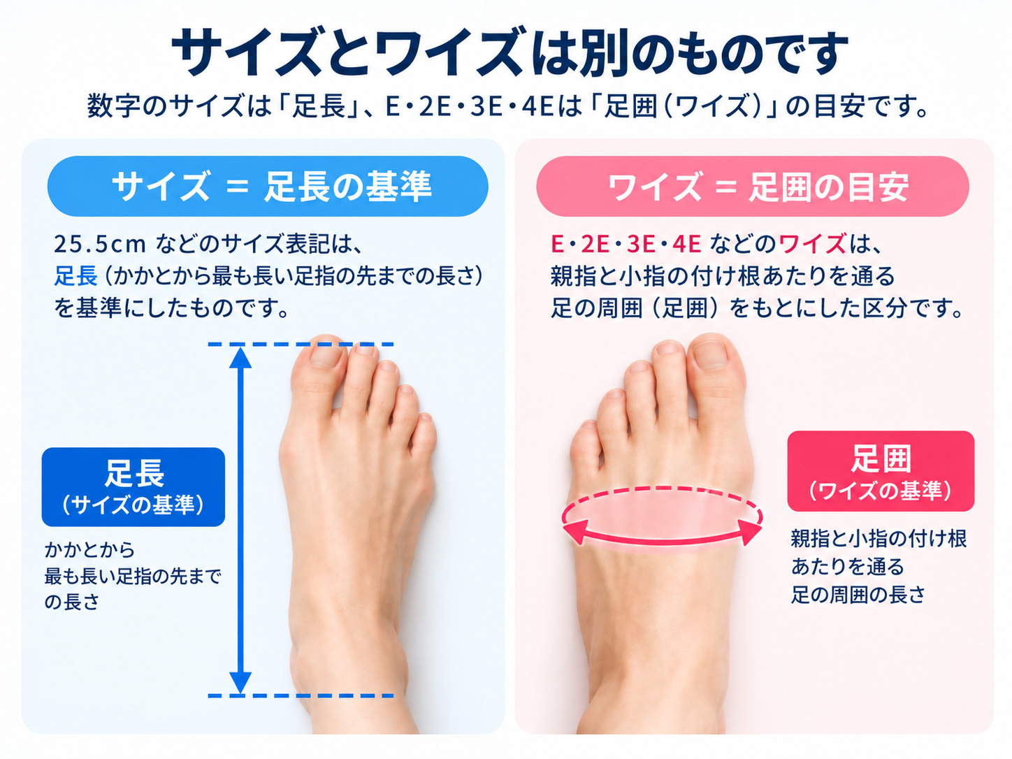 サイズとワイズの違いを示す図